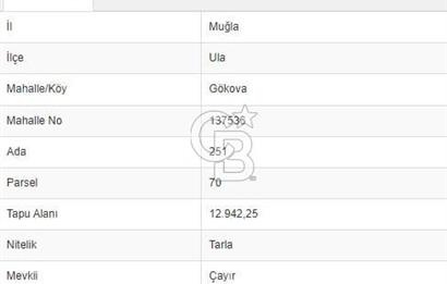 Gökova'da Satılık 80 Milyon TL Villa İmarlı Arsa