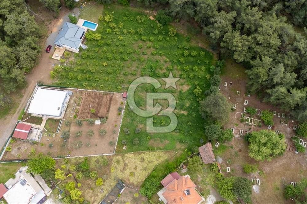 Köyceğiz Toparlar'da Doğa Manzaralı Satılık Tarla