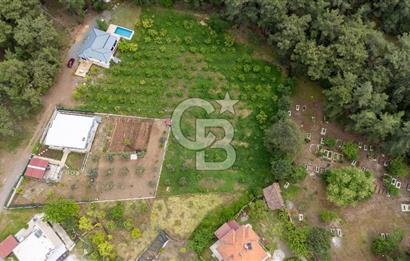 Köyceğiz Toparlar'da Doğa Manzaralı Satılık Tarla