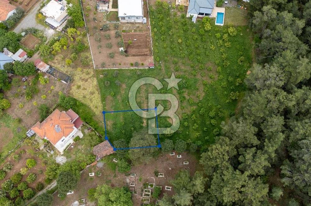 Köyceğiz Toparlar'da Doğa Manzaralı Satılık Tarla