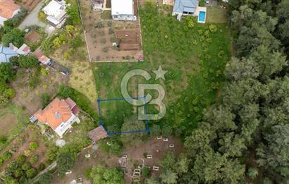 Köyceğiz Toparlar'da Doğa Manzaralı Satılık Tarla