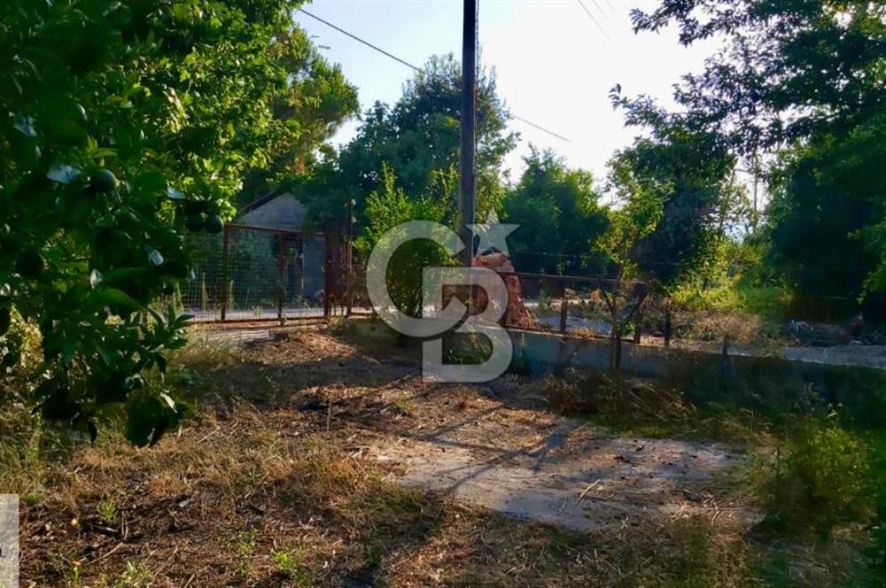 Ortaca Okçular'da Altyapılı Satılık Doğa Manzaralı AHŞAP EVİ OLAN Bahçe 