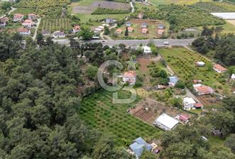 Köyceğiz Toparlar'da Doğa Manzaralı Satılık Tarla - 2 - 346337