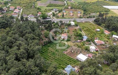 Köyceğiz Toparlar'da Doğa Manzaralı Satılık Tarla