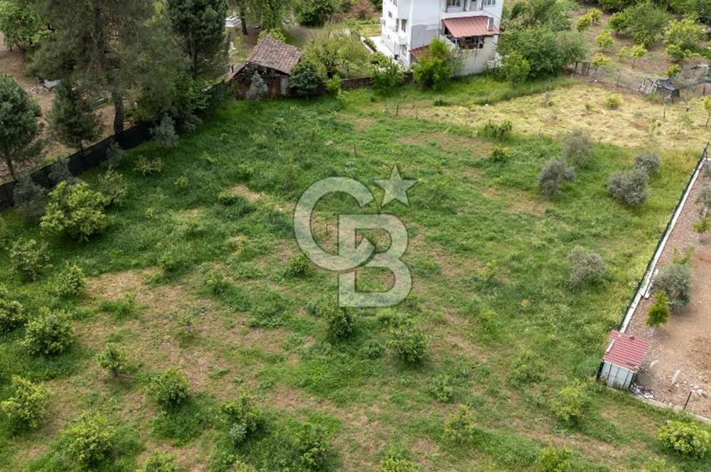 Köyceğiz Toparlar'da Doğa Manzaralı Satılık Tarla