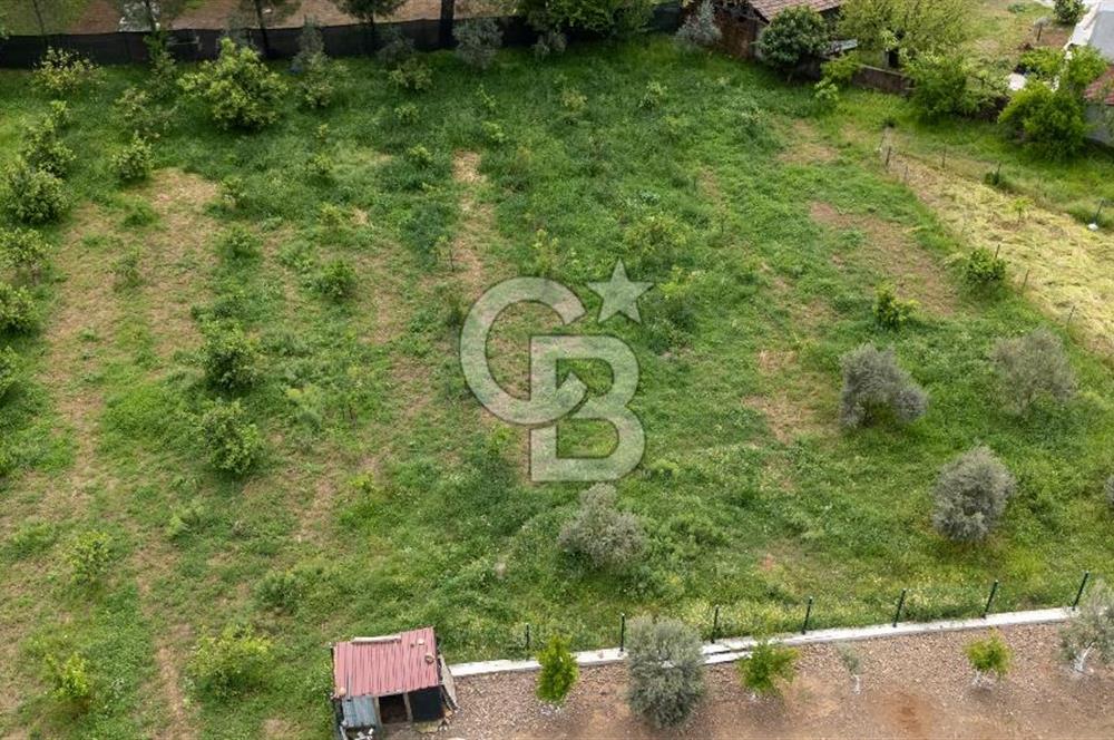 Köyceğiz Toparlar'da Doğa Manzaralı Satılık Tarla