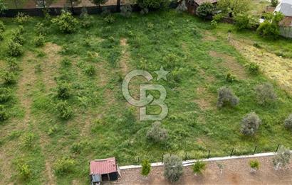 Köyceğiz Toparlar'da Doğa Manzaralı Satılık Tarla