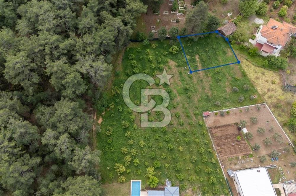 Köyceğiz Toparlar'da Doğa Manzaralı Satılık Tarla