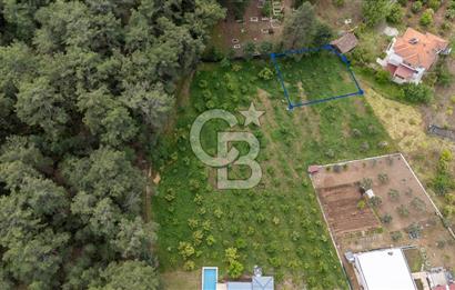 Köyceğiz Toparlar'da Doğa Manzaralı Satılık Tarla