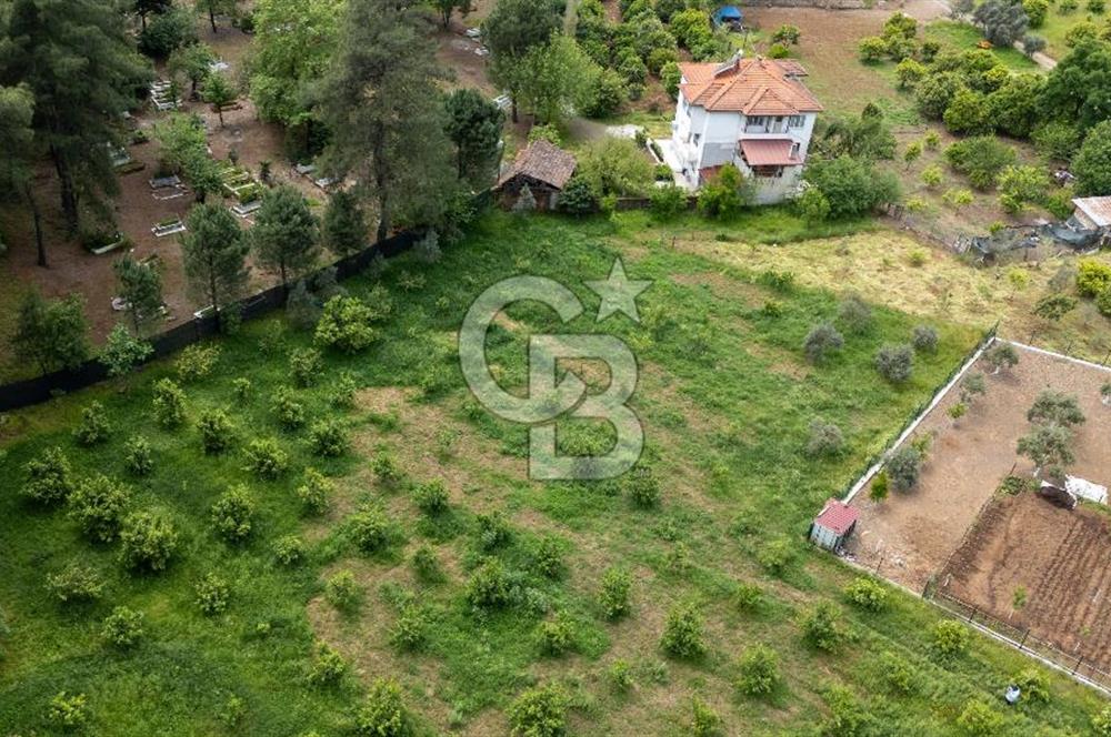 Köyceğiz Toparlar'da Doğa Manzaralı Satılık Tarla