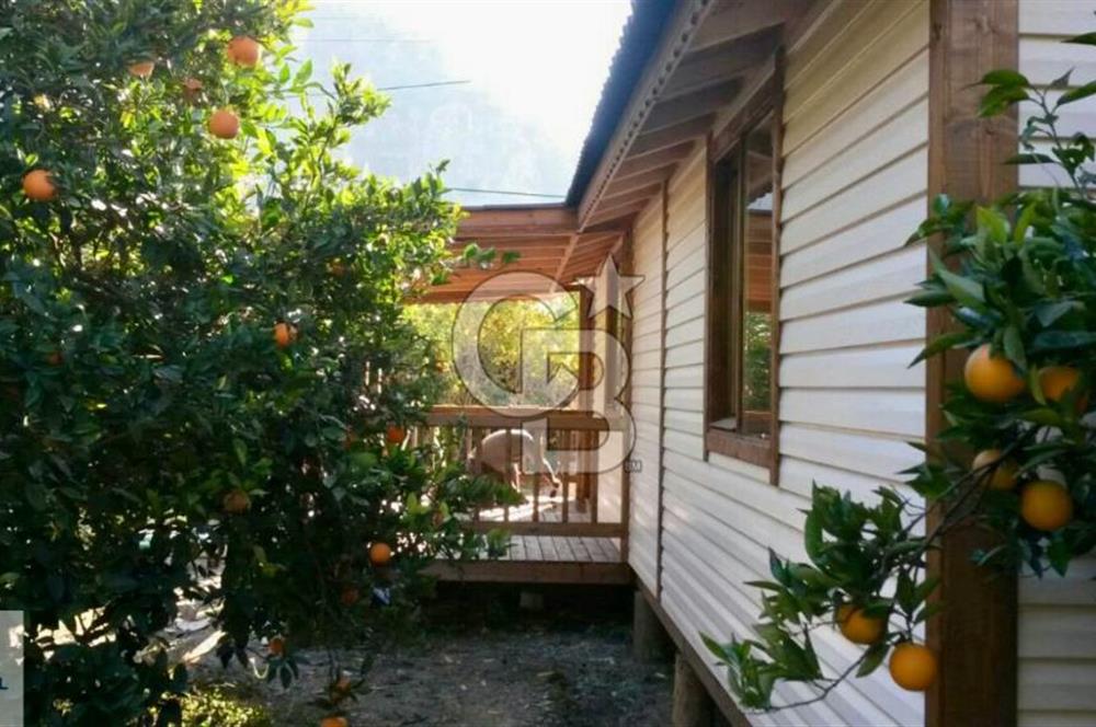 Ortaca Okçular'da Altyapılı Satılık Doğa Manzaralı AHŞAP EVİ OLAN Bahçe 