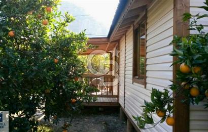 Ortaca Okçular'da Altyapılı Satılık Doğa Manzaralı AHŞAP EVİ OLAN Bahçe 