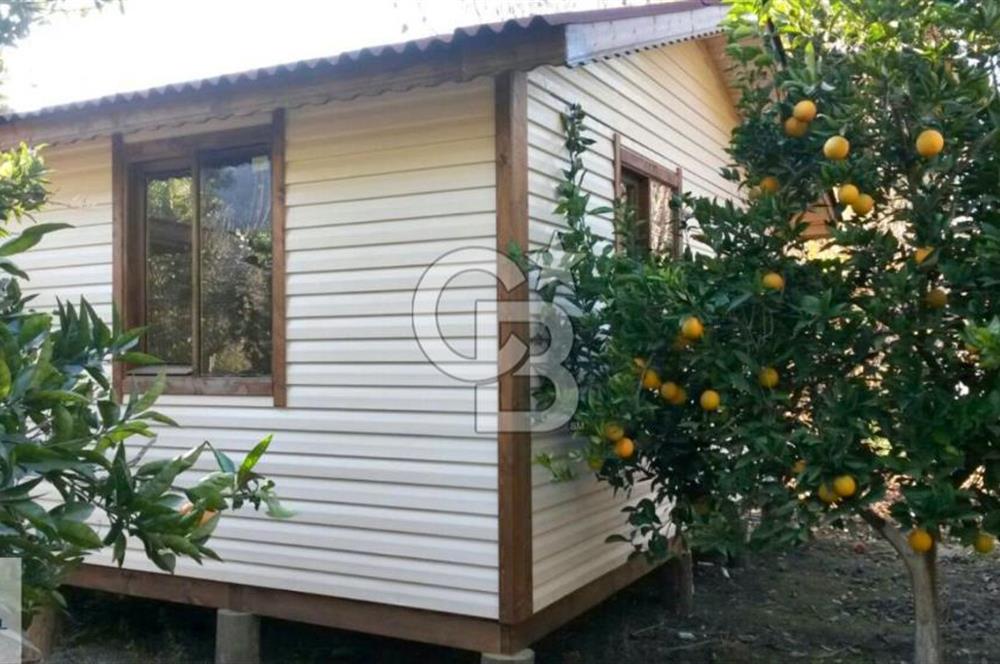 Ortaca Okçular'da Altyapılı Satılık Doğa Manzaralı AHŞAP EVİ OLAN Bahçe 