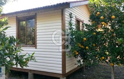 Ortaca Okçular'da Altyapılı Satılık Doğa Manzaralı AHŞAP EVİ OLAN Bahçe 