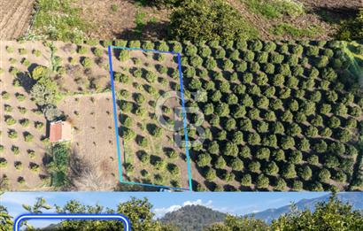 Köyceğiz Beyobası Satılık 3.050.000 TL Yatırımlık Tarla