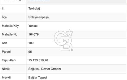 TEKİRDAĞ SÜLEYMANPAŞA CEVİZ ÜRETİLEN 160 DÖNÜM BAKIMLI TARLA