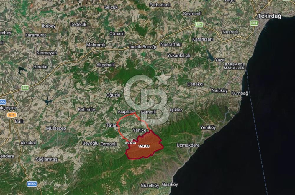 TEKİRDAĞ SÜLEYMANPAŞA CEVİZ ÜRETİLEN 160 DÖNÜM BAKIMLI TARLA