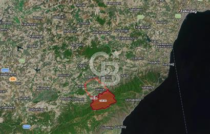 TEKİRDAĞ SÜLEYMANPAŞA CEVİZ ÜRETİLEN 160 DÖNÜM BAKIMLI TARLA