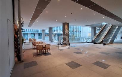 TRC GÖZTEPE’DE ATAŞEHİR MEMORIAL HASTANESİ'NE KOMŞU YÜKSEK TABELA DEĞERLİ SATILIK MAĞAZA