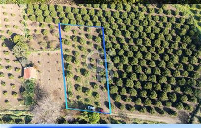 Köyceğiz Beyobası Satılık 3.050.000 TL Yatırımlık Tarla