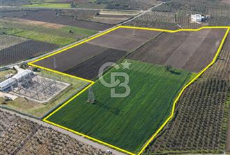 COLDWELL BANKER ROUTE ÇANDARLI DİKİLİ YOLUNA SIFIR SATILIK TARLA - 7 - 346331