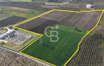 COLDWELL BANKER ROUTE ÇANDARLI DİKİLİ YOLUNA SIFIR SATILIK TARLA