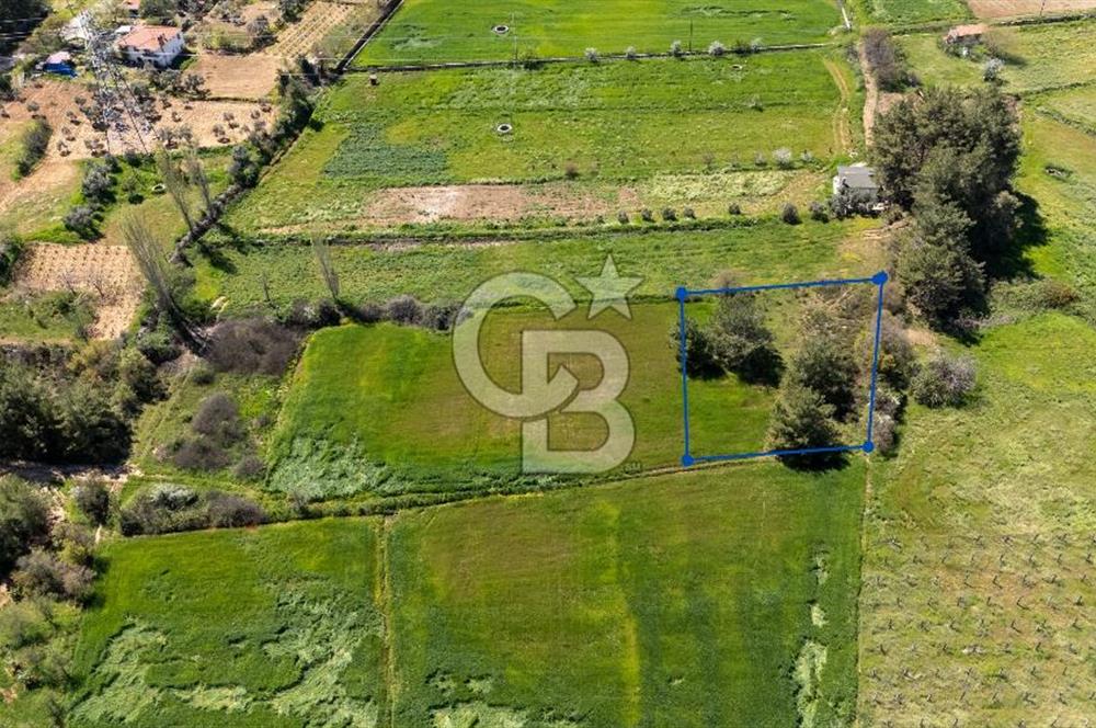 Muğla Ula Kızılağaçta Kiralık 1.200.000 TL Yatırımlık Tarla