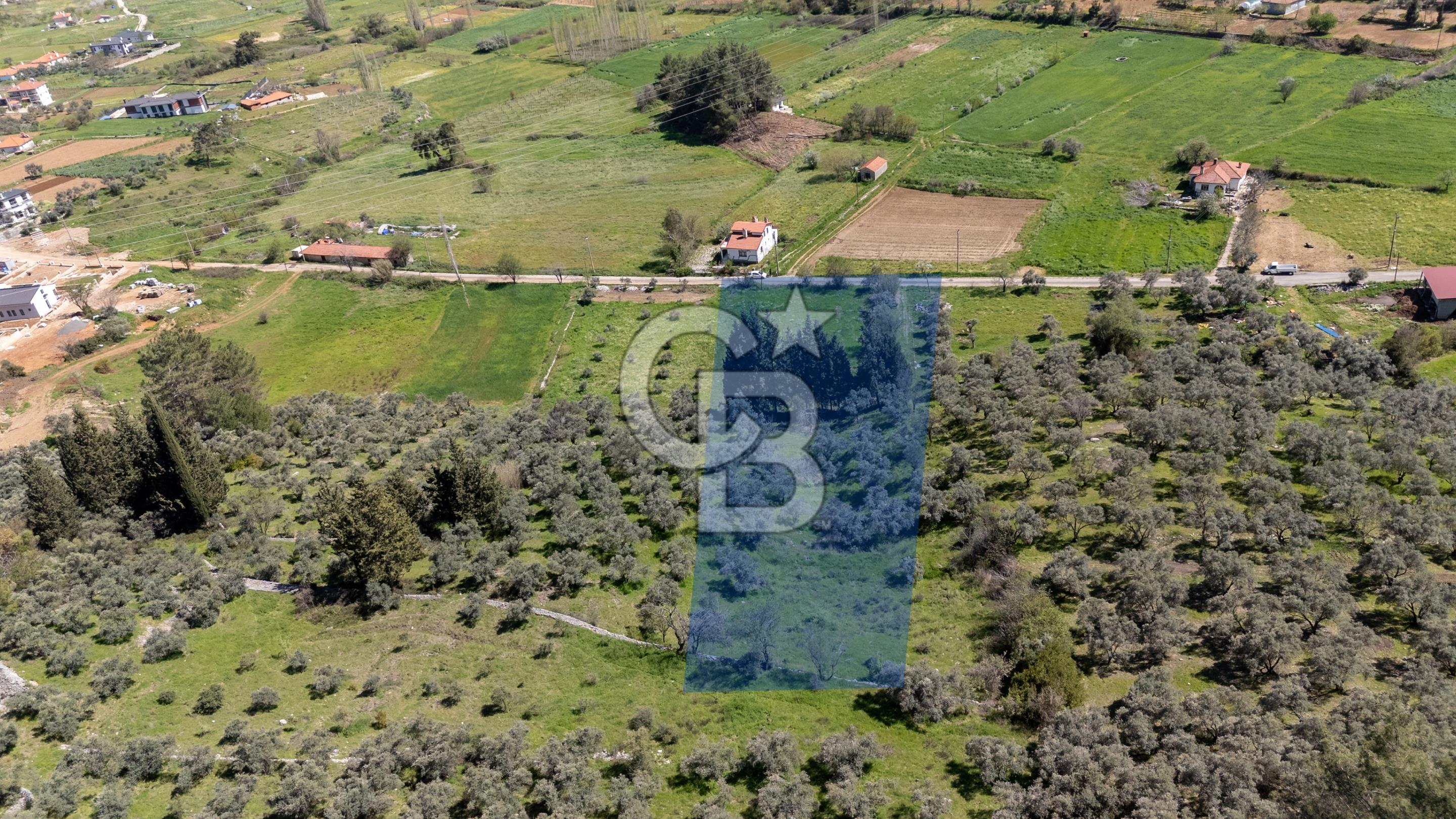Muğla Ula Kızılağaç Satılık 19.5 Milyon TL Yatırımlık Tarla