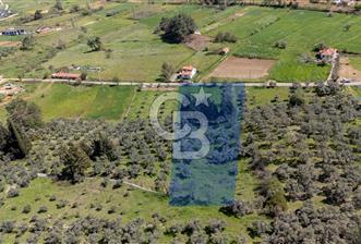 Muğla Ula Kızılağaç Satılık 19.5 Milyon TL Yatırımlık Tarla - 3 - 346455