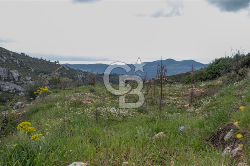 Muğla Menteşe Zeytin'de Satılık Konut İmarlı Arsa