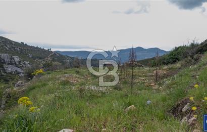 Muğla Menteşe Zeytin'de Satılık Konut İmarlı Arsa