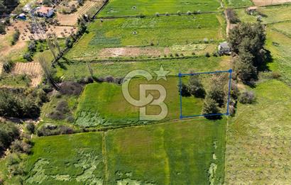 Muğla Ula Kızılağaçta Kiralık 1.200.000 TL Yatırımlık Tarla