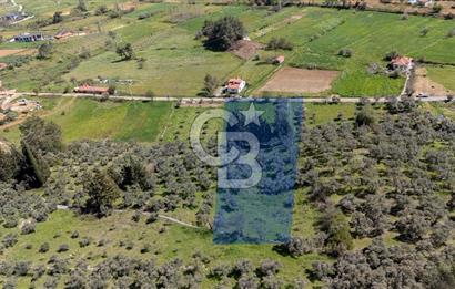 Muğla Ula Kızılağaç Satılık 19.5 Milyon TL Yatırımlık Tarla