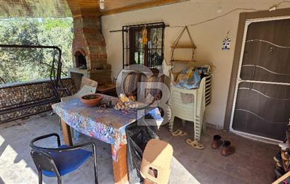 KEMALPAŞA ARMUTLU'DA İÇİNDE EVİ OLAN MUHTEŞEM BAHÇE-SATILIK