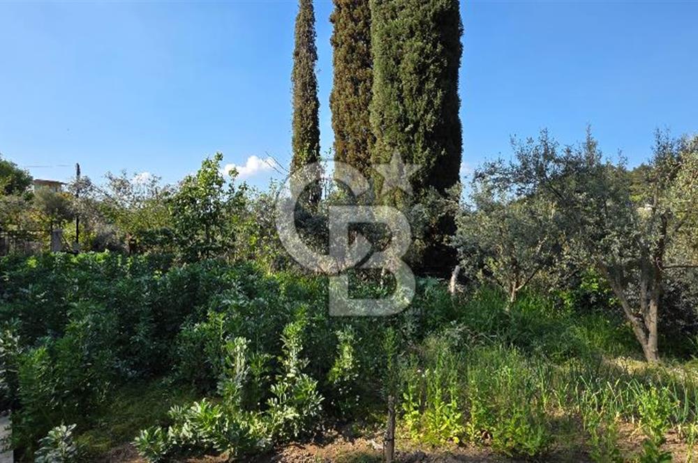 KEMALPAŞA ARMUTLU'DA İÇİNDE EVİ OLAN MUHTEŞEM BAHÇE-SATILIK