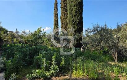 KEMALPAŞA ARMUTLU'DA İÇİNDE EVİ OLAN MUHTEŞEM BAHÇE-SATILIK