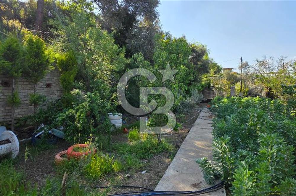 KEMALPAŞA ARMUTLU'DA İÇİNDE EVİ OLAN MUHTEŞEM BAHÇE-SATILIK