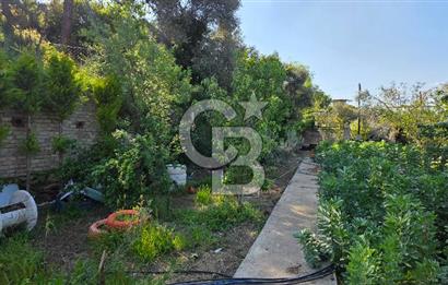 KEMALPAŞA ARMUTLU'DA İÇİNDE EVİ OLAN MUHTEŞEM BAHÇE-SATILIK