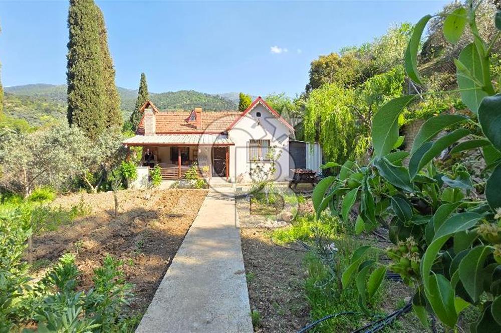 KEMALPAŞA ARMUTLU'DA İÇİNDE EVİ OLAN MUHTEŞEM BAHÇE-SATILIK