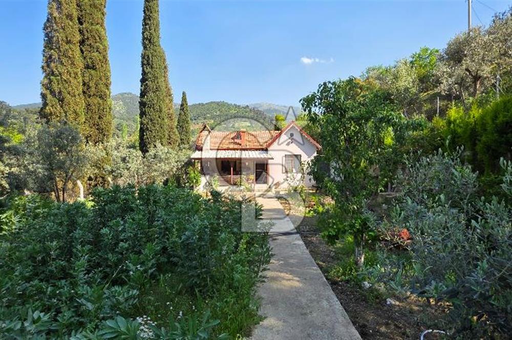 KEMALPAŞA ARMUTLU'DA İÇİNDE EVİ OLAN MUHTEŞEM BAHÇE-SATILIK