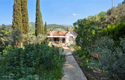 KEMALPAŞA ARMUTLU'DA İÇİNDE EVİ OLAN MUHTEŞEM BAHÇE-SATILIK