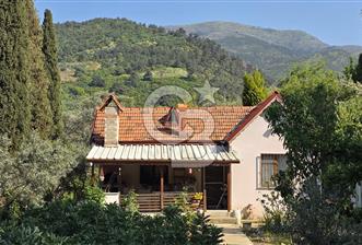 KEMALPAŞA ARMUTLU'DA İÇİNDE EVİ OLAN MUHTEŞEM BAHÇE-SATILIK - 5 - 346444