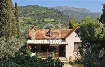 KEMALPAŞA ARMUTLU'DA İÇİNDE EVİ OLAN MUHTEŞEM BAHÇE-SATILIK