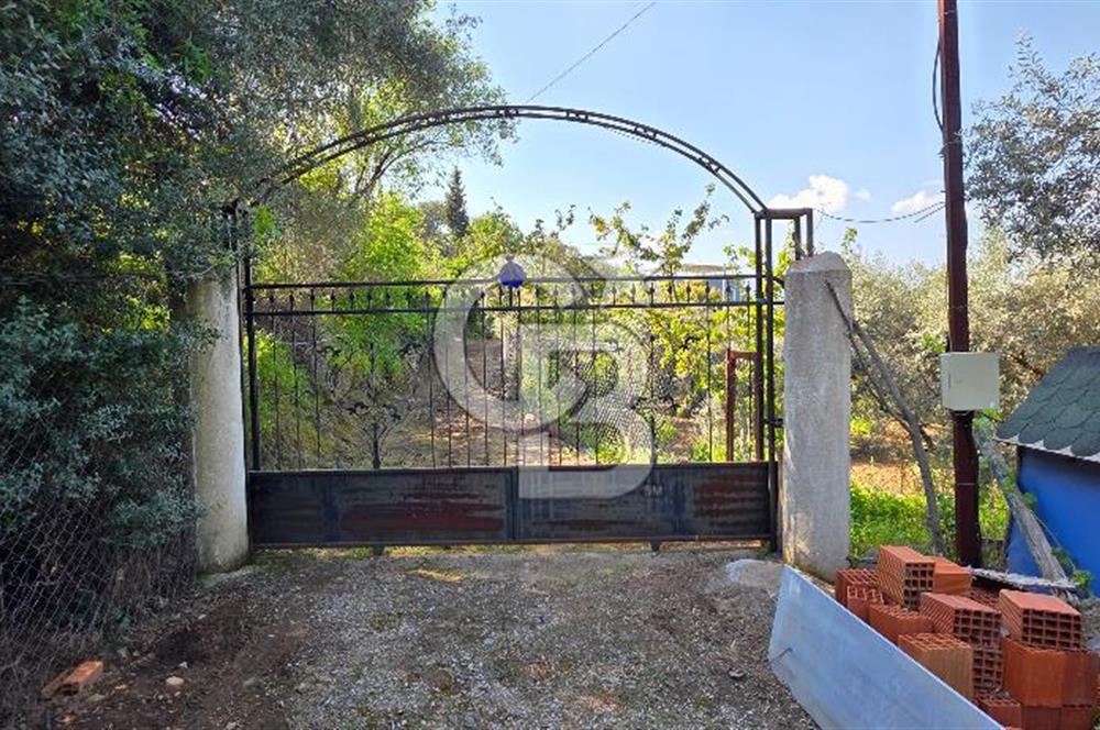 KEMALPAŞA ARMUTLU'DA İÇİNDE EVİ OLAN MUHTEŞEM BAHÇE-SATILIK