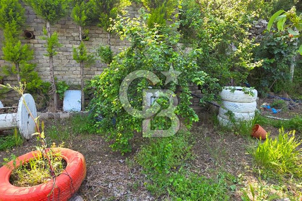 KEMALPAŞA ARMUTLU'DA İÇİNDE EVİ OLAN MUHTEŞEM BAHÇE-SATILIK