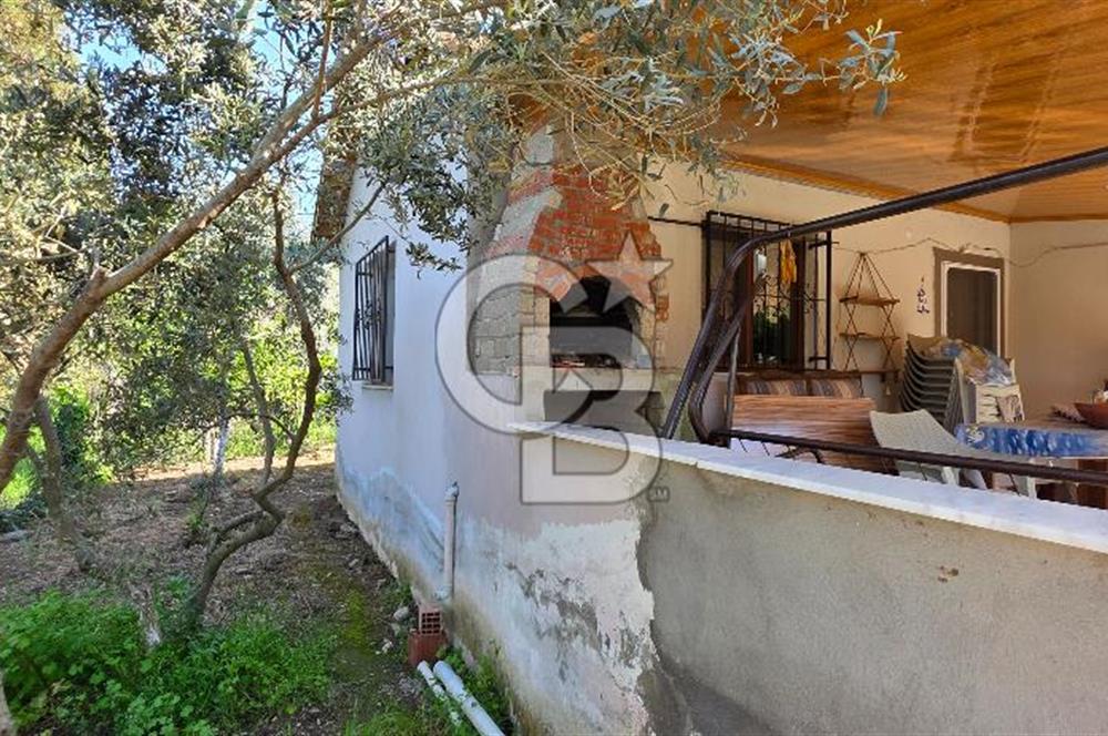 KEMALPAŞA ARMUTLU'DA İÇİNDE EVİ OLAN MUHTEŞEM BAHÇE-SATILIK