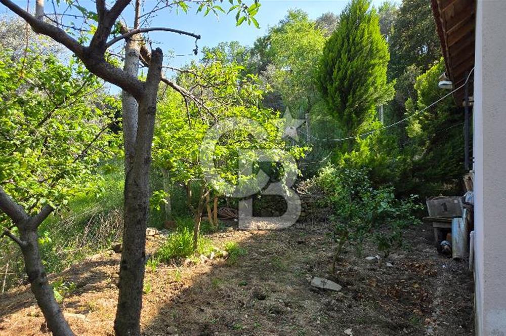 KEMALPAŞA ARMUTLU'DA İÇİNDE EVİ OLAN MUHTEŞEM BAHÇE-SATILIK