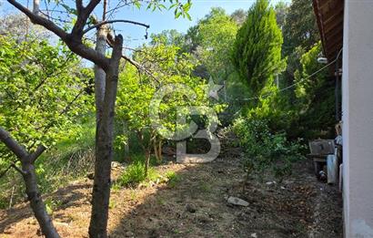 KEMALPAŞA ARMUTLU'DA İÇİNDE EVİ OLAN MUHTEŞEM BAHÇE-SATILIK