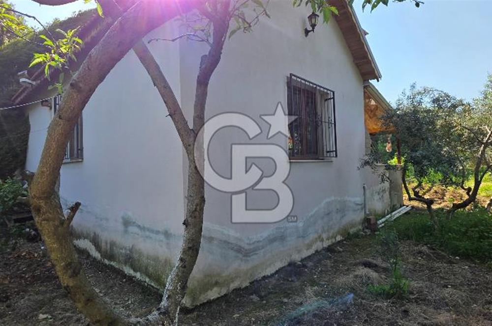 KEMALPAŞA ARMUTLU'DA İÇİNDE EVİ OLAN MUHTEŞEM BAHÇE-SATILIK