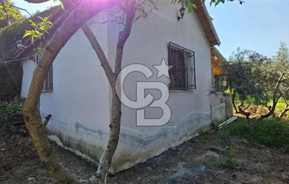 KEMALPAŞA ARMUTLU'DA İÇİNDE EVİ OLAN MUHTEŞEM BAHÇE-SATILIK